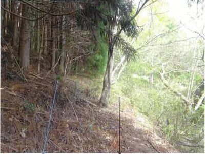 (値下げ) 静岡県浜松市天竜区 地名駅 戸建て 64万円の競売物件情報 #7