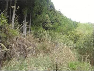 (値下げ) 静岡県浜松市天竜区 地名駅 戸建て 64万円の競売物件情報 #8