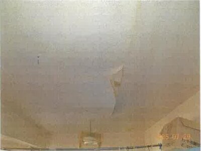 静岡県浜松市中央区 新浜松駅10分 戸建て 3,515万円の競売物件情報 #39