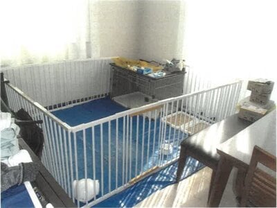 静岡県富士市 新富士駅15分 戸建て 1,100万円の競売物件情報 #3