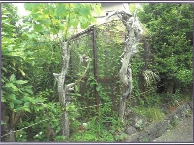 (値下げ) 静岡県富士市 岳南原田駅 戸建て 562万円の競売物件情報 #7