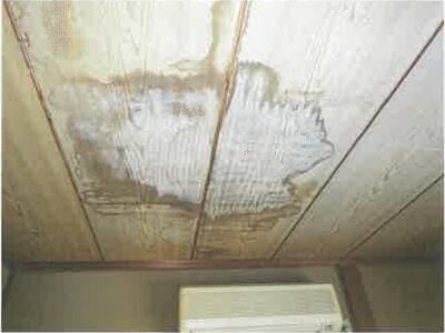 滋賀県彦根市 稲枝駅 戸建て 231万円の競売物件情報 #13