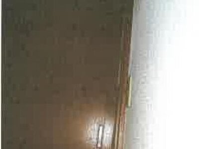 滋賀県彦根市 稲枝駅 戸建て 231万円の競売物件情報 #17