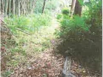 滋賀県愛知郡愛荘町 愛知川駅 戸建て 248万円の競売物件情報 #9