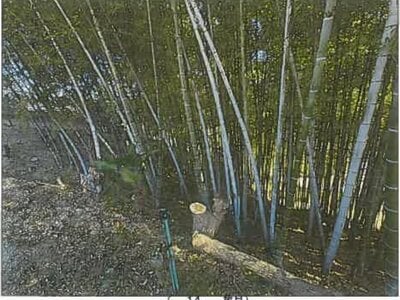 兵庫県神戸市垂水区 朝霧駅9分 土地 273万円の競売物件情報 #4