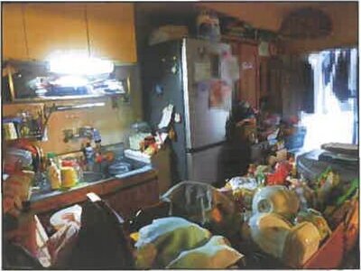 広島県広島市安佐南区 緑井駅5分 戸建て 4,941万円の競売物件情報 #24