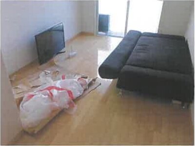 広島県広島市中区 比治山橋駅7分 戸建て 3,839万円の競売物件情報 #34