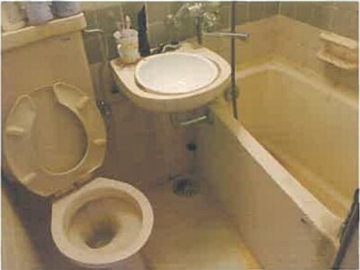 広島県広島市中区 比治山橋駅7分 戸建て 3,839万円の競売物件情報 #38