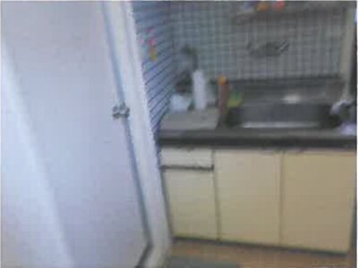 広島県広島市中区 比治山橋駅7分 戸建て 3,839万円の競売物件情報 #46