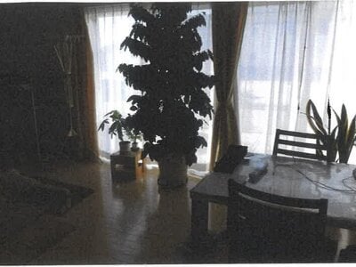 愛知県碧南市 碧南中央駅20分 戸建て 1,463万円の競売物件情報 #3