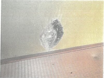 大阪府豊能郡能勢町 妙見口駅 戸建て 480万円の競売物件情報 #4