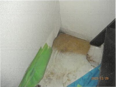 大阪府大阪市生野区 小路駅4分 戸建て 3,359万円の競売物件情報 #6