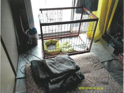 大阪府東大阪市 若江岩田駅12分 マンション「八戸ノ里ニュースカイハイツ」922万円の競売物件情報 #10