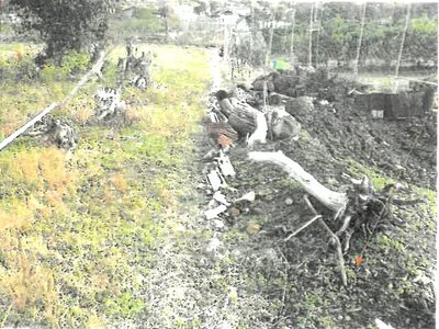 大阪府池田市 鶯の森駅20分 農地 39万円の競売物件情報 #3