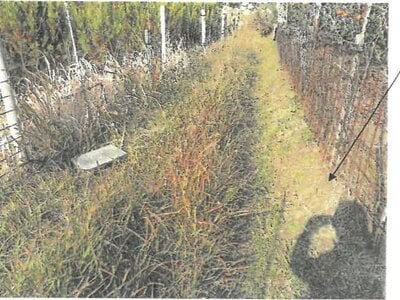 大阪府池田市 鼓滝駅16分 農地 7万円の競売物件情報 #2