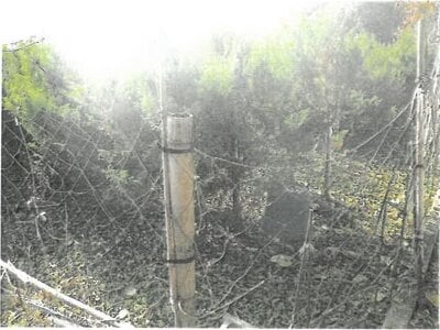 大阪府池田市 鼓滝駅16分 農地 7万円の競売物件情報 #3