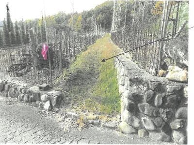 大阪府池田市 鼓滝駅16分 農地 7万円の競売物件情報 #4