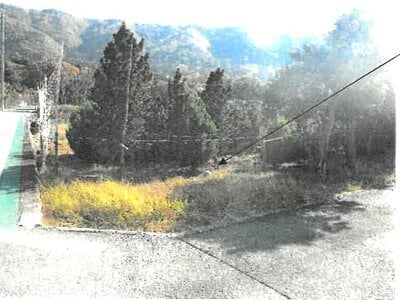 大阪府池田市 鼓滝駅23分 農地 28万円の競売物件情報 #2