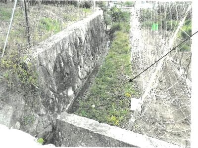 大阪府池田市 鼓滝駅23分 農地 28万円の競売物件情報 #3