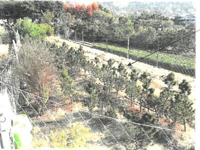 大阪府池田市 鼓滝駅18分 農地 22万円の競売物件情報 #2