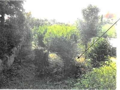 大阪府池田市 鼓滝駅18分 農地 22万円の競売物件情報 #3