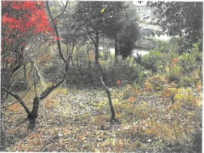 大阪府池田市 鼓滝駅15分 農地 52万円の競売物件情報 #3