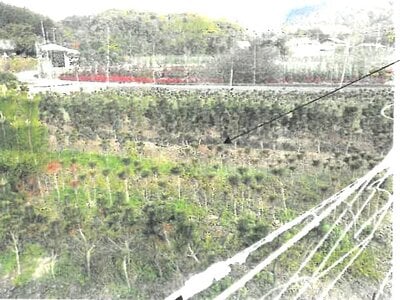 大阪府池田市 鼓滝駅18分 農地 15万円の競売物件情報 #2