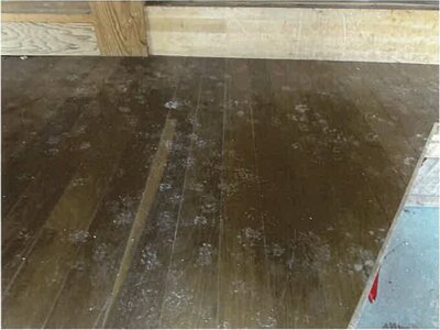 (値下げ) 佐賀県多久市 多久駅11分 戸建て 203万円の競売物件情報 #21