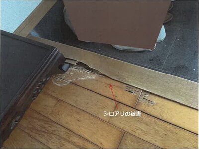 (値下げ) 佐賀県多久市 多久駅11分 戸建て 203万円の競売物件情報 #7