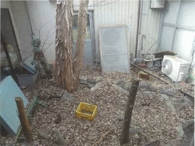 佐賀県鹿島市 肥前鹿島駅18分 戸建て 556万円の競売物件情報 #16