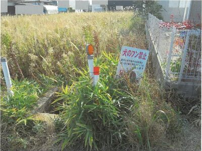 佐賀県神埼郡吉野ヶ里町 吉野ヶ里公園駅17分 農地 483万円の競売物件情報 #3