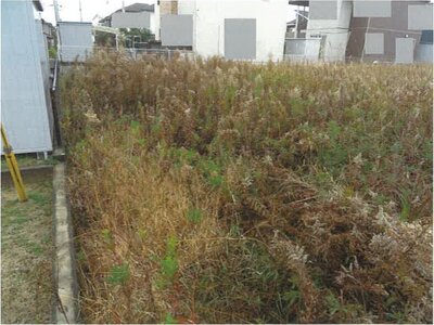 佐賀県神埼郡吉野ヶ里町 吉野ヶ里公園駅17分 農地 483万円の競売物件情報 #8