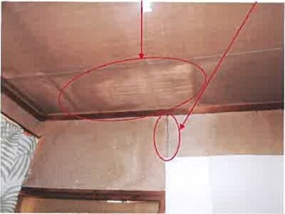 (値下げ) 熊本県熊本市西区 西熊本駅 戸建て 484万円の競売物件情報 #14