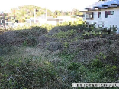 神奈川県三浦市 三崎口駅9分 農地 30万円の国税庁公売物件情報 #2