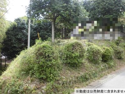 (値下げ) 神奈川県相模原市緑区 相模湖駅 農地 31万円の国税庁公売物件情報 #2