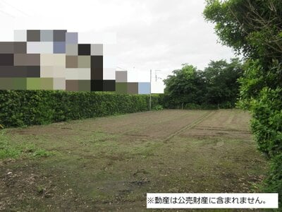(値下げ) 千葉県成田市 滑河駅27分 農地 50万円の国税庁公売物件情報 #2