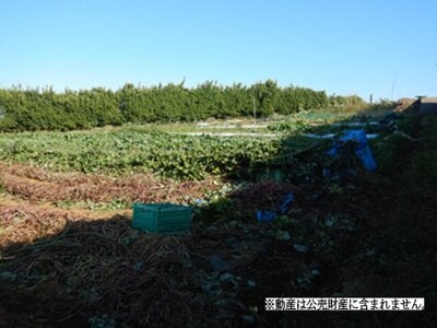 神奈川県三浦市 三崎口駅 農地 870万円の国税庁公売物件情報 #2