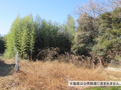 千葉県流山市 運河駅17分 農地 1,000万円の国税庁公売物件情報 #2
