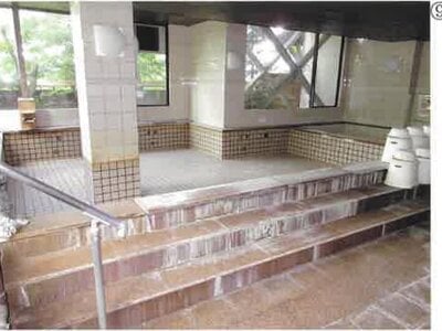 群馬県渋川市 祖母島駅 戸建て 2,204万円の競売物件情報 #35