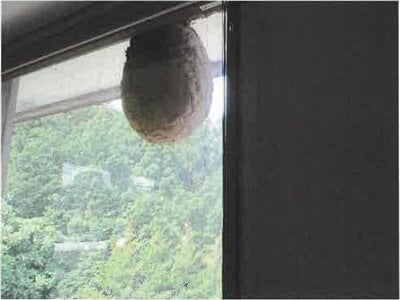 群馬県渋川市 祖母島駅 戸建て 2,204万円の競売物件情報 #63