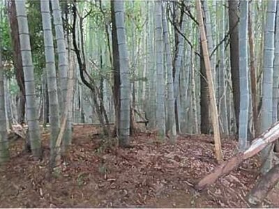 福岡県宮若市 教育大前駅 土地 6万円の競売物件情報 #3