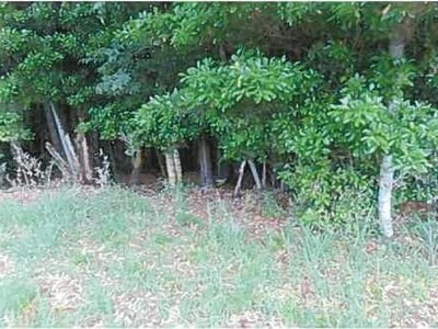 福岡県宮若市 教育大前駅 土地 6万円の競売物件情報 #4