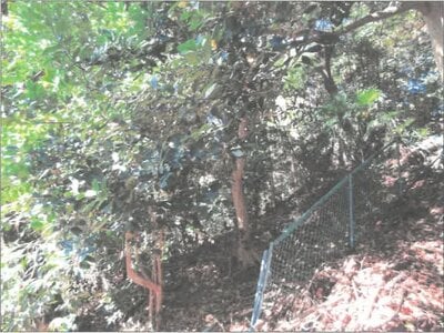 神奈川県横浜市磯子区 杉田駅4分 戸建て 3,301万円の競売物件情報 #9