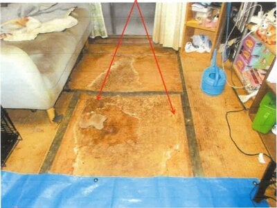 神奈川県高座郡寒川町 寒川駅10分 マンション「センチュリー寒川」236万円の競売物件情報 #3