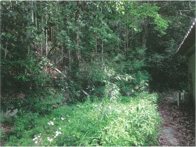 岐阜県多治見市 古虎渓駅 戸建て 33万円の競売物件情報 #26