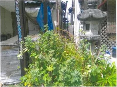 (値下げ) 大阪府泉南市 新家駅9分 戸建て 419万円の競売物件情報 #2