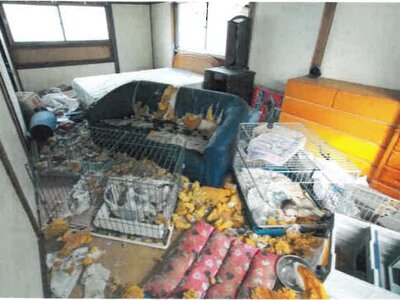 岡山県岡山市中区 東山・おかでんミュージアム駅7分 戸建て 264万円の競売物件情報 #9