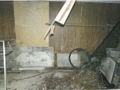 (値下げ) 岡山県津山市 津山口駅15分 戸建て 205万円の競売物件情報 #12