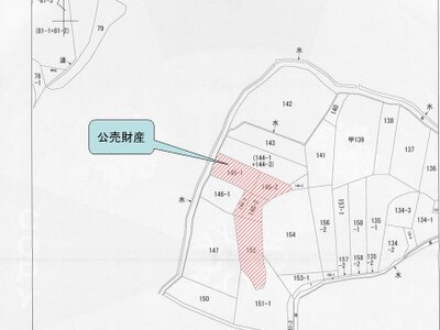 (値下げ) 広島県福山市 福山駅 農地 13万円の国税庁公売物件情報 #2