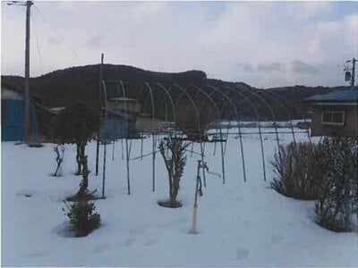 岩手県九戸郡軽米町 戸建て 73万円の競売物件情報 #4